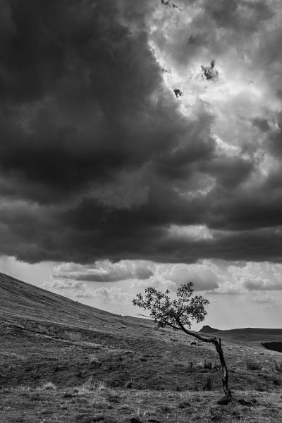 2018_08_06_Auvergne  (0038_black).jpg - Col de la Croix Morand, Auvergne (Aout 2018)